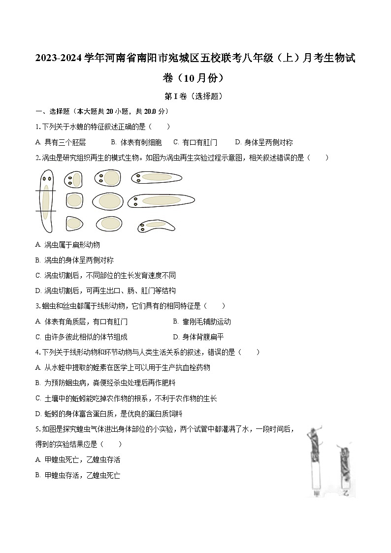 2023-2024学年河南省南阳市宛城区五校联考八年级（上）月考生物试卷（10月份）（含解析）01