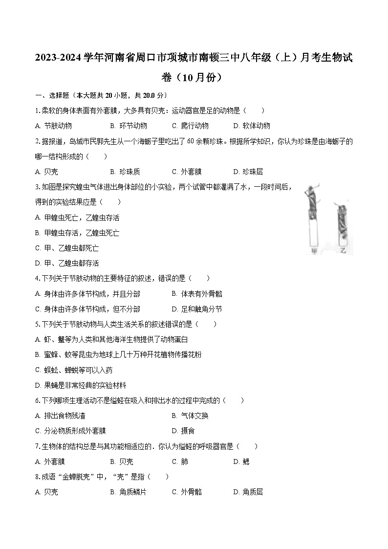 2023-2024学年河南省周口市项城市南顿三中八年级（上）月考生物试卷（10月份）（含解析）第1页