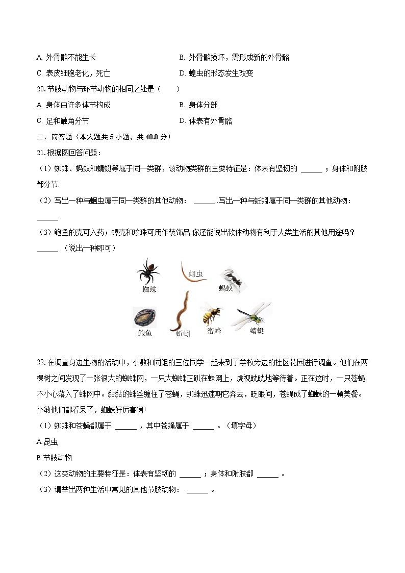 2023-2024学年河南省周口市项城市南顿三中八年级（上）月考生物试卷（10月份）（含解析）第3页