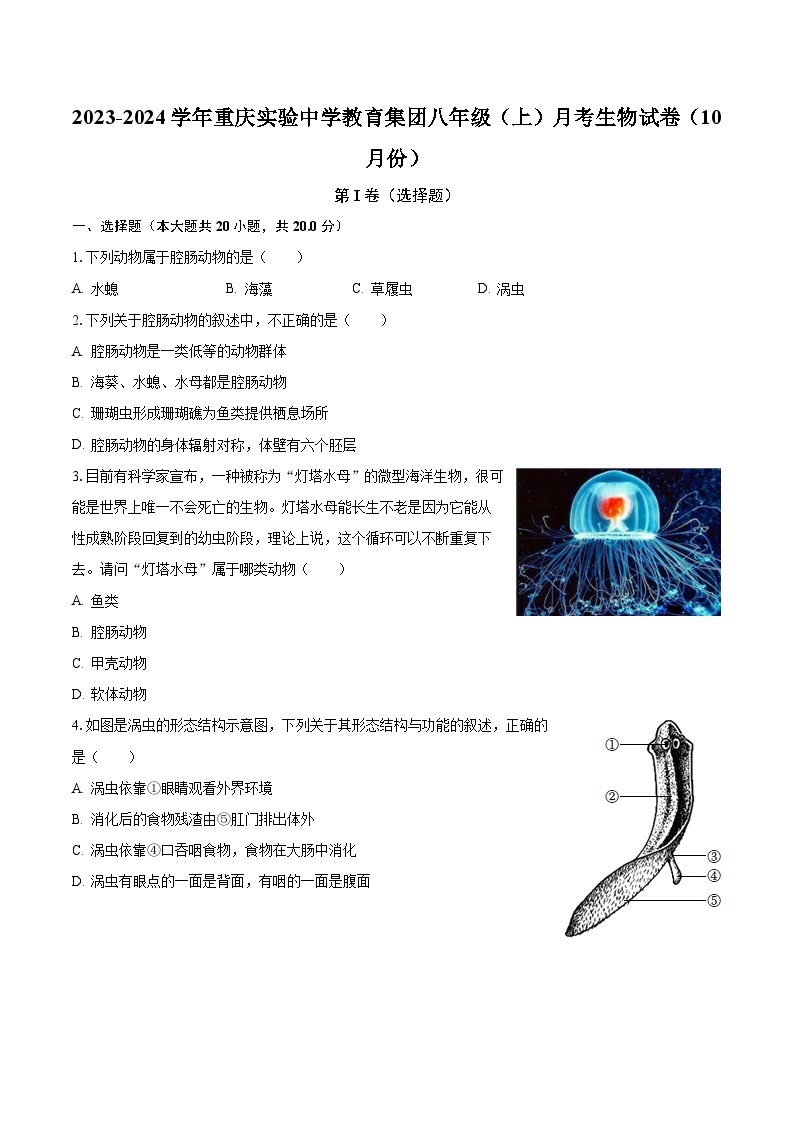 2023-2024学年重庆实验中学教育集团八年级（上）月考生物试卷（10月份）（含解析）01