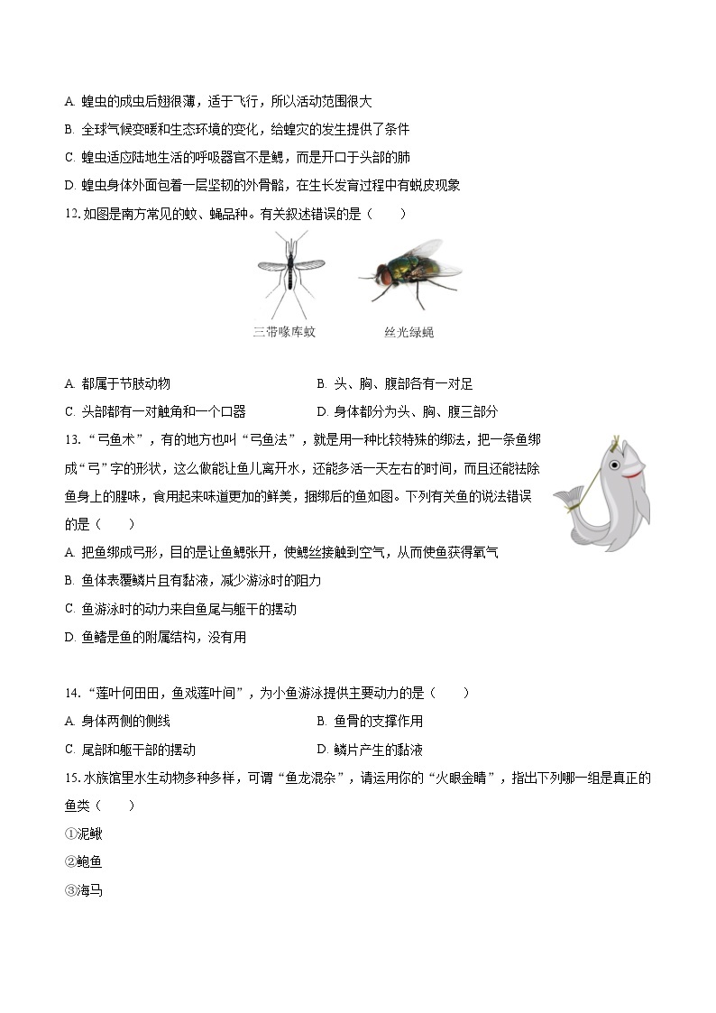 2023-2024学年重庆实验中学教育集团八年级（上）月考生物试卷（10月份）（含解析）03