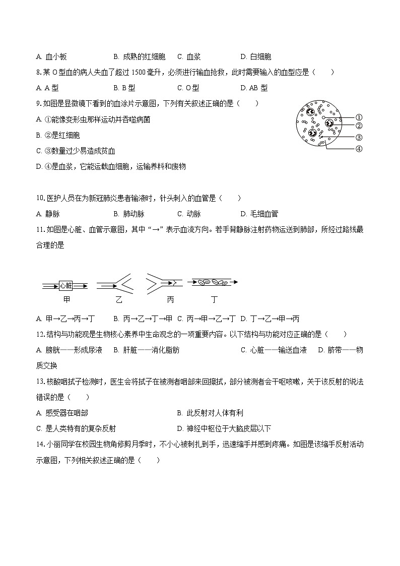 2022-2023学年福建省三明市宁化县七年级（下）第三次段考生物试卷（含解析）第2页