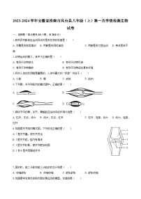 2023-2024学年安徽省淮南市凤台县八年级（上）第一次学情检测生物试卷（含解析）