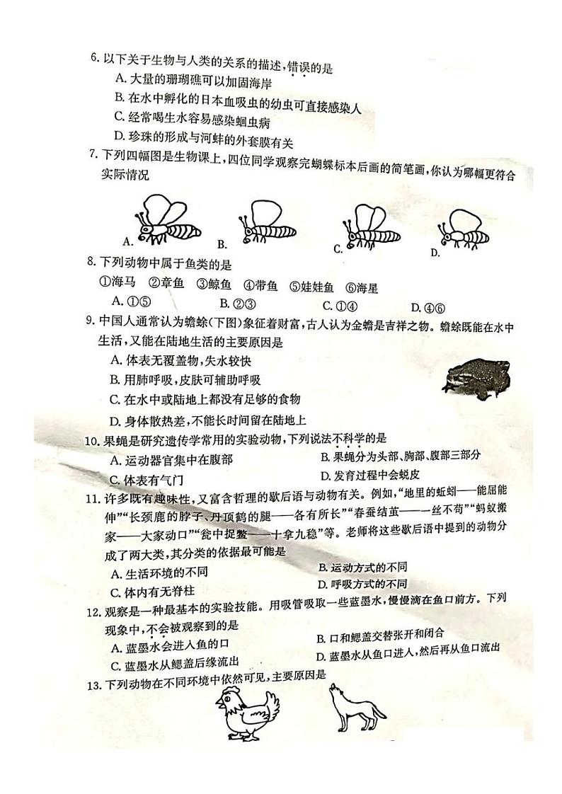 山西省兴县康宁中学2023-2024学年八年级上学期第一次月考生物试卷02