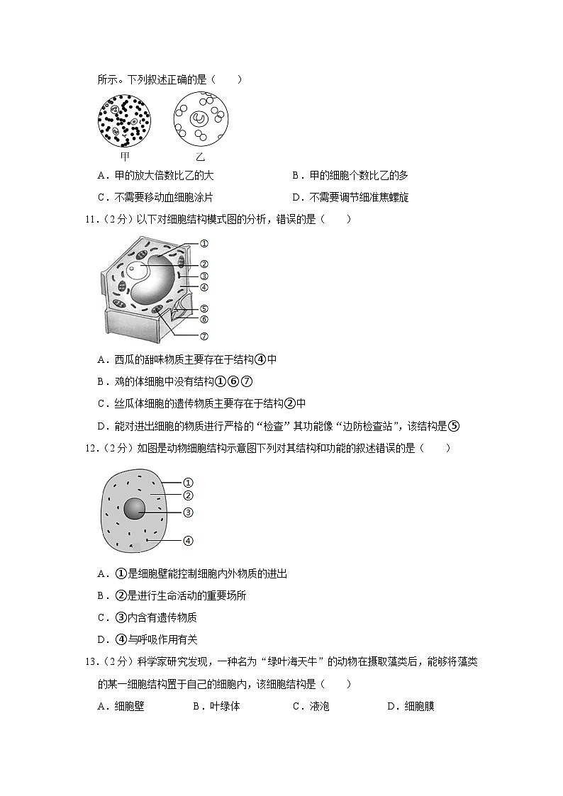 河南省南阳市内乡县灌涨镇初级中学2023-2024学年七年级上学期月考生物试卷（10月份）03