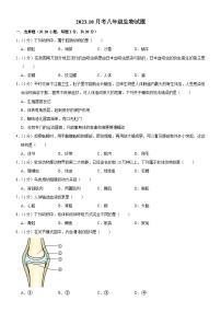 吉林省长春市榆树市红星乡中学2023-2024学年八年级上学期10月月考生物试题