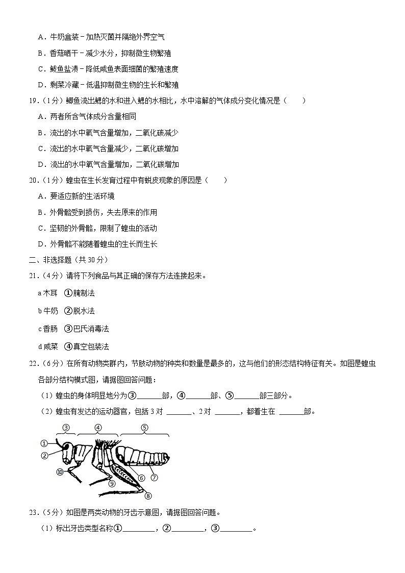 吉林省长春市榆树市红星乡中学2023-2024学年八年级上学期10月月考生物试题第3页