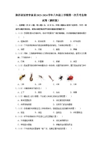 陕西省延安市富县2023-2024学年八年级上学期第一次月考生物试卷