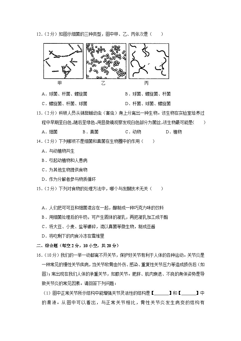 陕西省西安市爱知中学2023-2024学年八年级上学期第一次月考生物试卷第3页