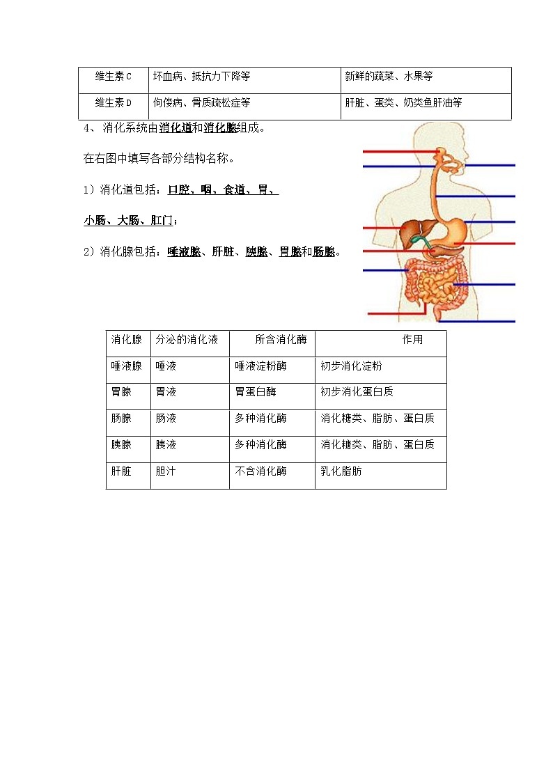 2024年中考生物知识点复习---人体的营养第2页