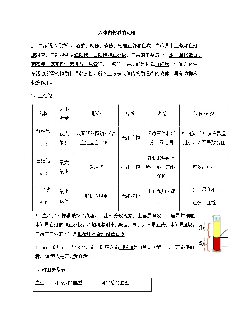 2024年中考生物知识点复习---人体内物质的运输01