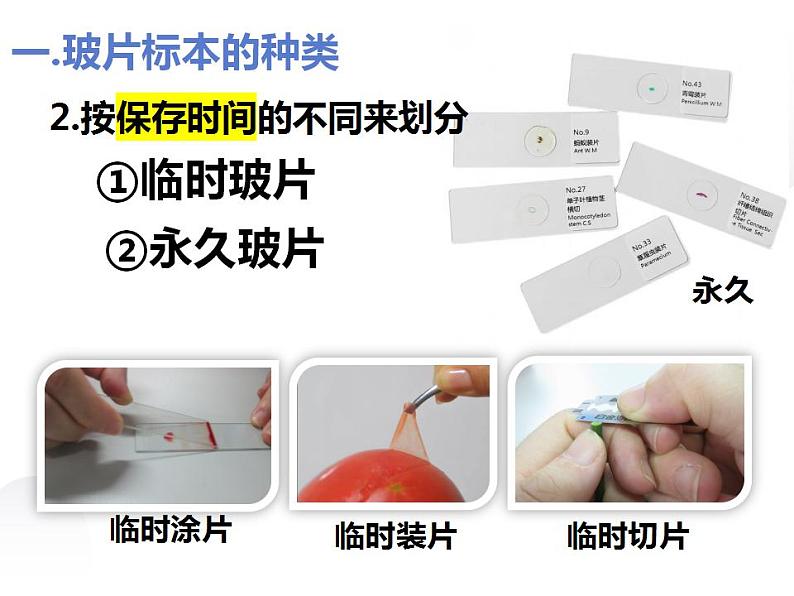 第二单元第二节《植物细胞》课件人教版七年级生物上册05