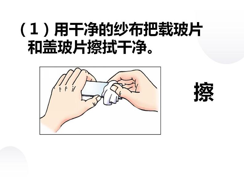 第二单元第二节《植物细胞》课件人教版七年级生物上册08