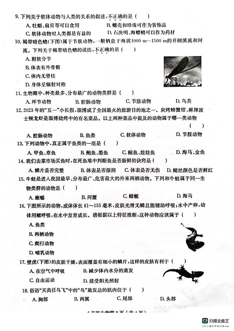 河南省周口市川汇区周口恒大中学2023-2024学年八年级上学期10月月考生物试题第2页