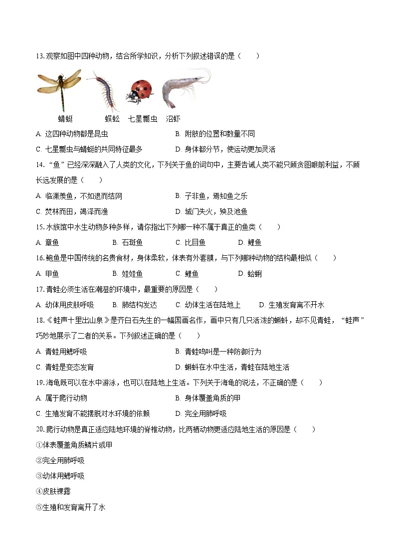 2023-2024学年湖南省娄底市双峰县八年级（上）月考生物试卷（10月份）（含解析）03