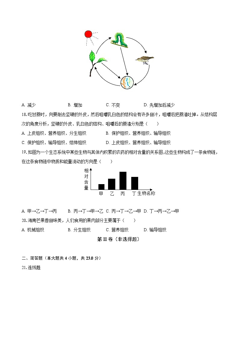 2023-2024学年吉林省长春市榆树市八号镇中学七年级（上）月考生物试卷（10月份）（含解析）03