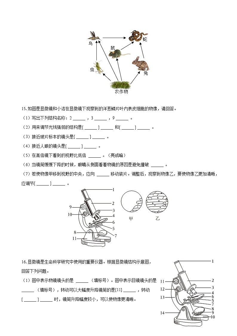 2023-2024学年辽宁省营口市大石桥市七年级（上）第一次月考生物试卷（含解析）第3页