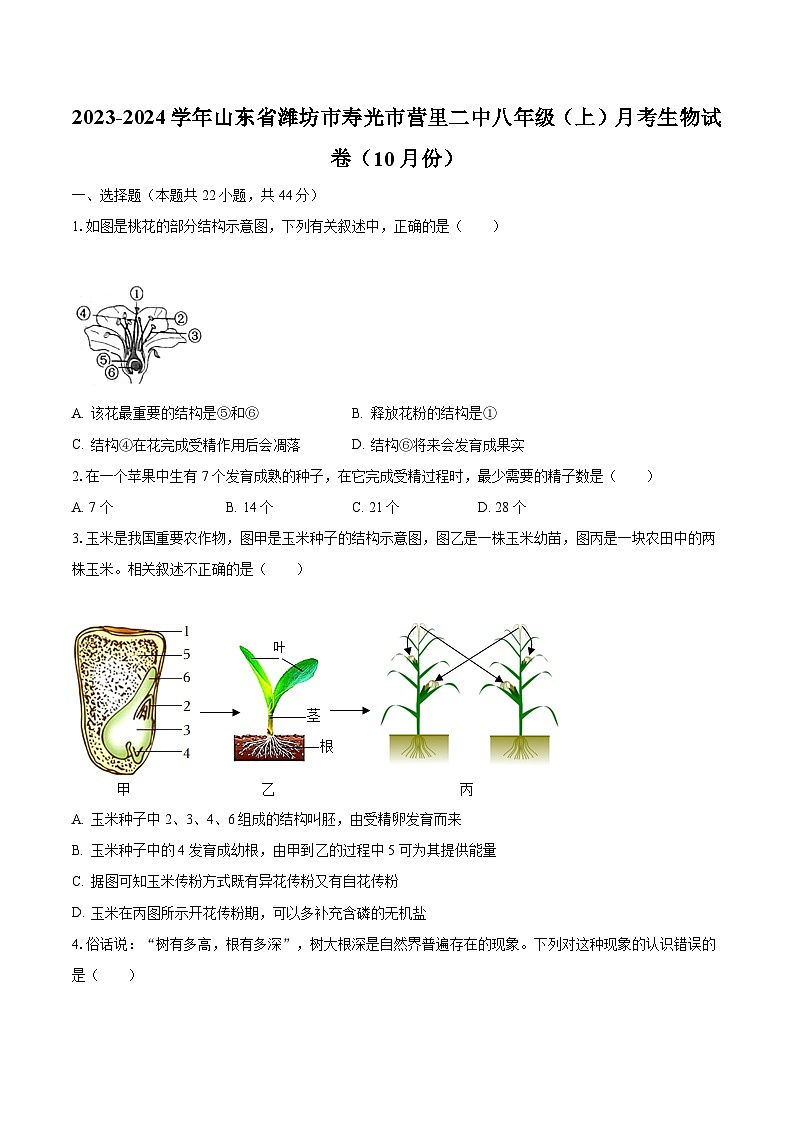 2023-2024学年山东省潍坊市寿光市营里二中八年级（上）月考生物试卷（10月份）（含解析）第1页
