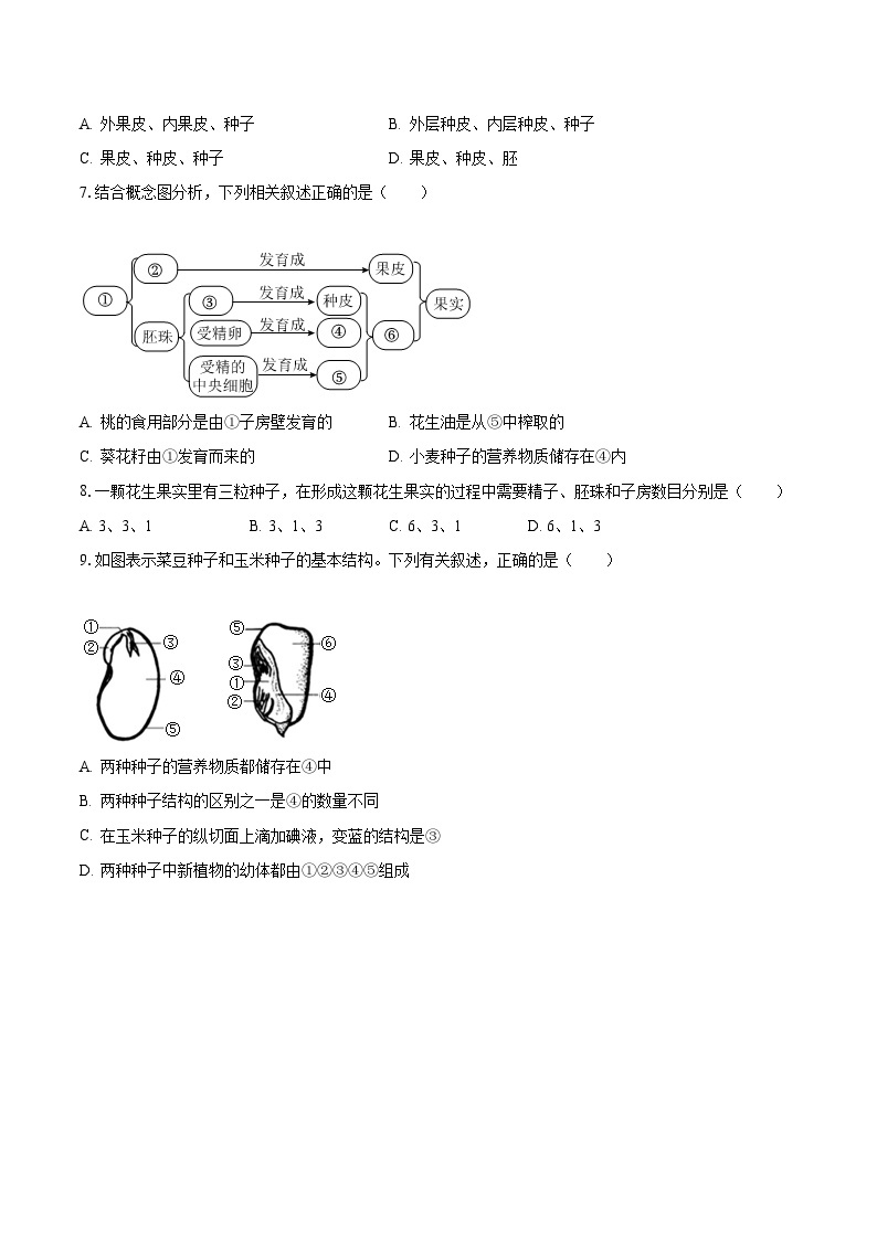 2023-2024学年山东省枣庄市峄城区东方学校八年级（上）月考生物试卷（10月份）（含解析）02