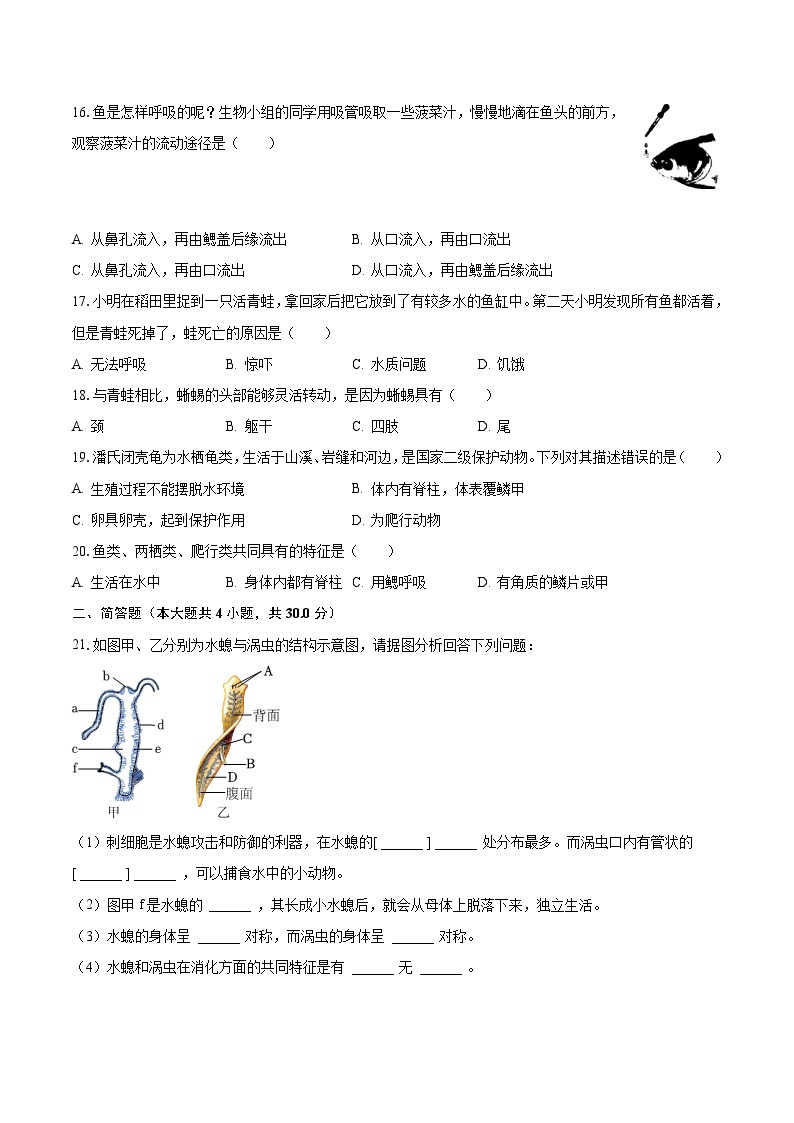2023-2024学年河南省南阳市方城县清华园学校八年级（上）月考生物试卷（10月份）（含解析）03