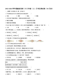 2023-2024学年福建省龙岩二中八年级（上）月考生物试卷（10月份）（含解析）