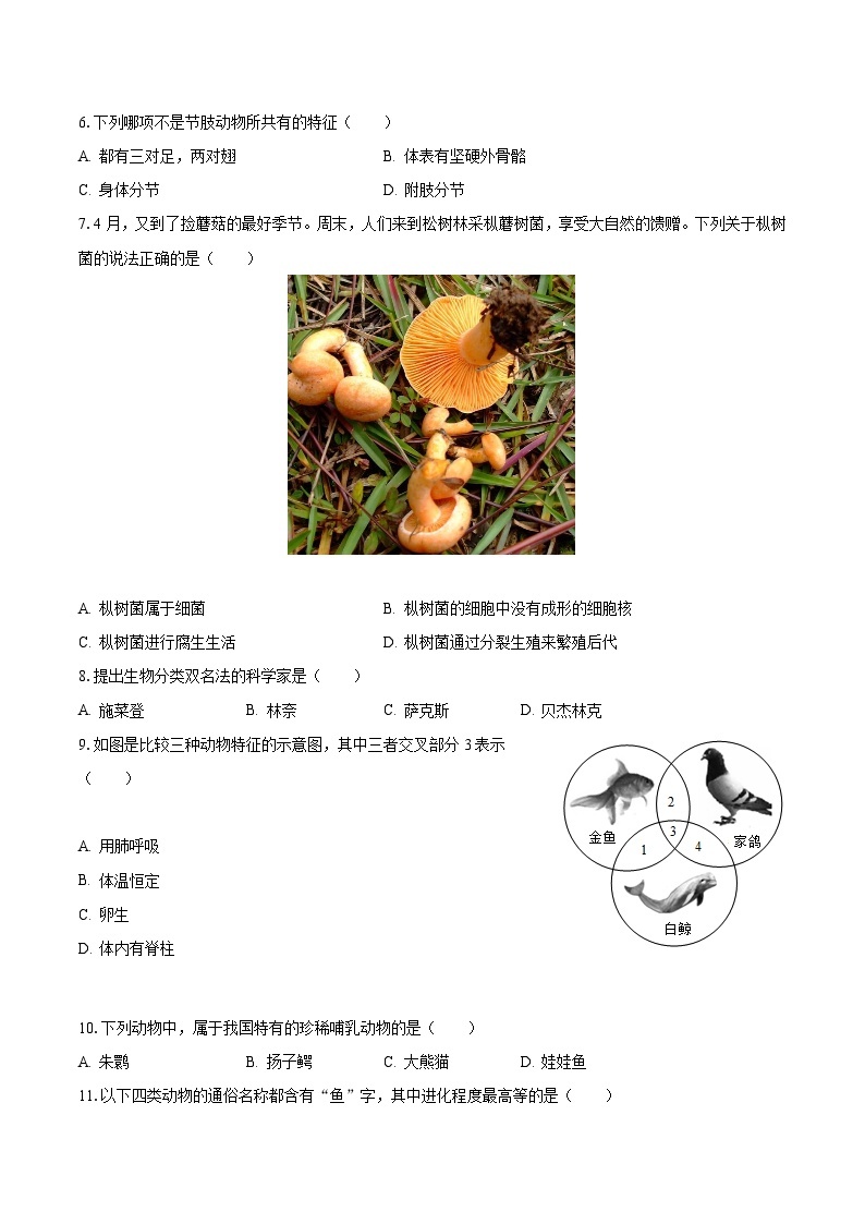 2023-2024学年辽宁省鞍山市岫岩县部分学校八年级（上）月考生物试卷（10月份）（含解析）02