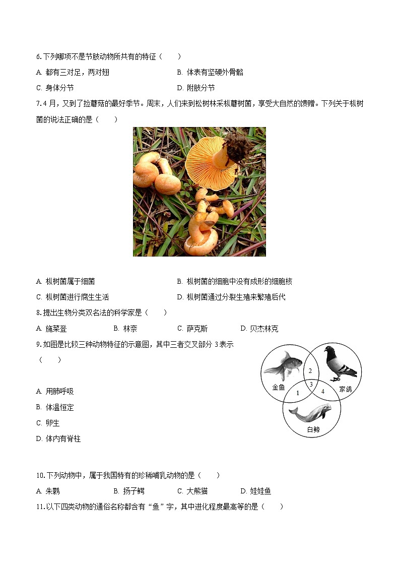 2023-2024学年辽宁省鞍山市岫岩县部分学校八年级（上）月考生物试卷（10月份）（含解析）第2页