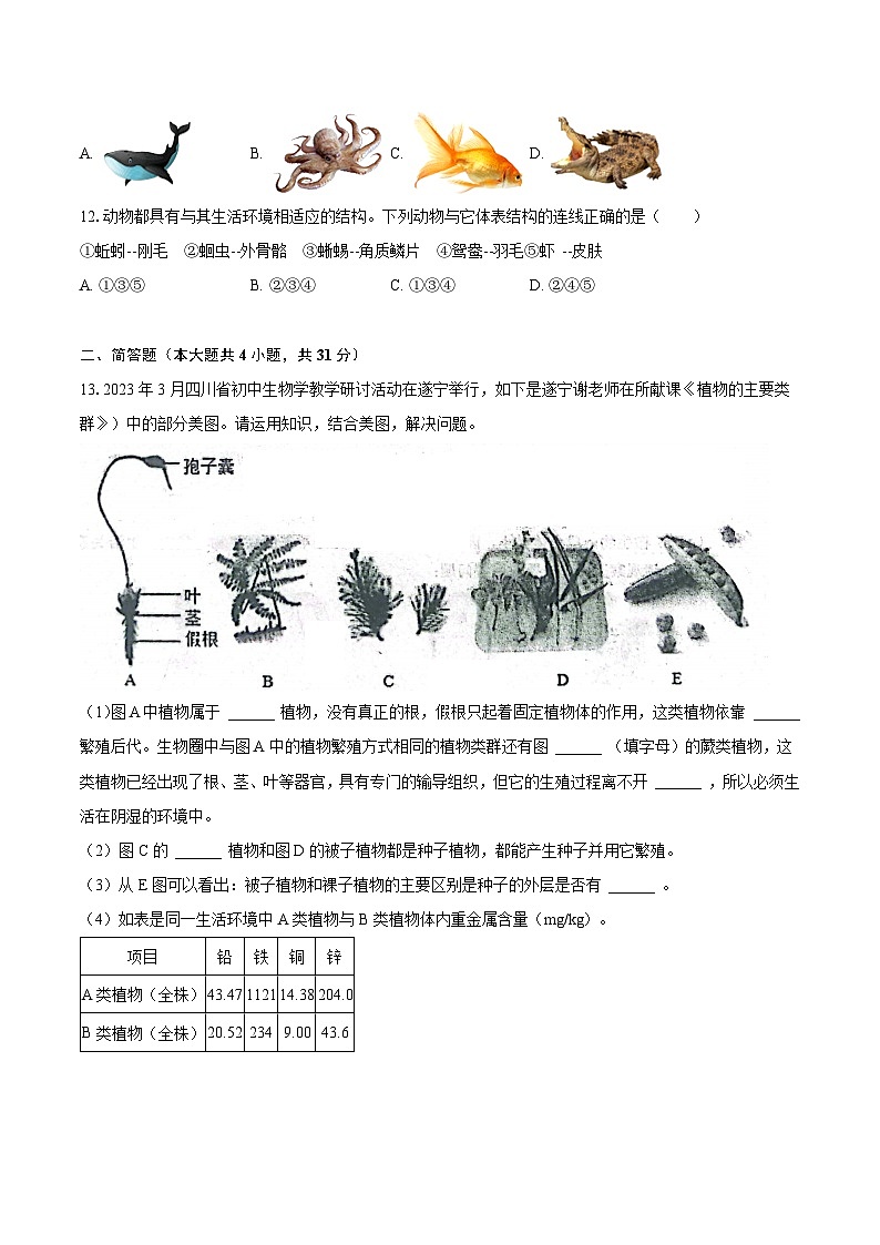 2023-2024学年辽宁省鞍山市岫岩县部分学校八年级（上）月考生物试卷（10月份）（含解析）第3页