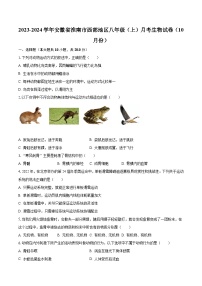 2023-2024学年安徽省淮南市西部地区八年级（上）月考生物试卷（10月份）（含解析）