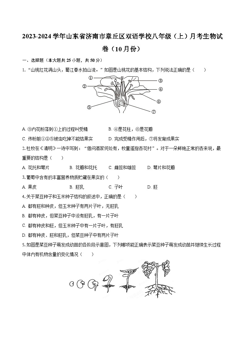 2023-2024学年山东省济南市章丘区双语学校八年级（上）月考生物试卷（10月份）（含解析）01