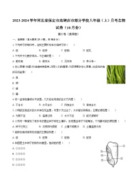 2023-2024学年河北省保定市高碑店市部分学校八年级（上）月考生物试卷（10月份）（含解析）