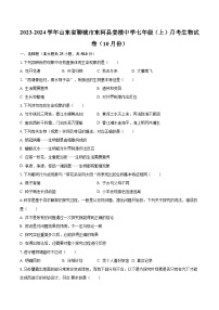 2023-2024学年山东省聊城市东阿县姜楼中学七年级（上）月考生物试卷（10月份）（含解析）