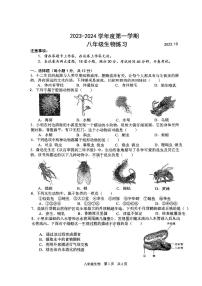 辽宁省普兰店市第三十七中学2023-2024学年八年级上学期10月月考生物试题