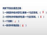 1.2.2生物与环境组成生态系统+课件-2021-2022学年人教版七年级生物上册