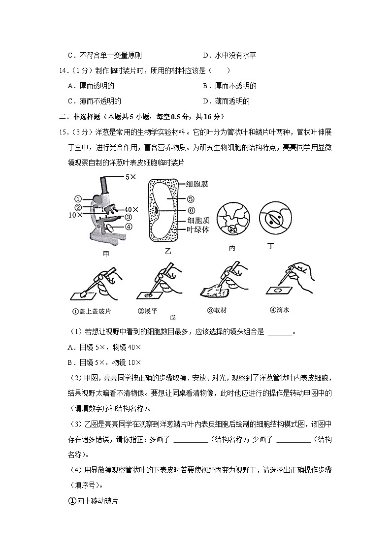 辽宁省沈阳市法库县东湖第二初级中学2023-2024学年七年级上学期月考生物试卷（10月份）第3页
