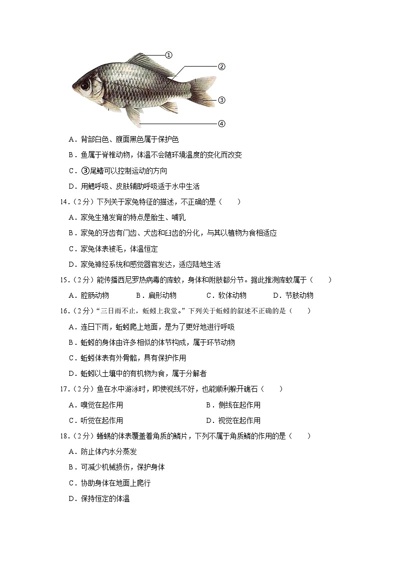 山东省聊城市运河联盟联考2023-2024学年八年级上学期第一次学情调研生物试卷（月考）第3页