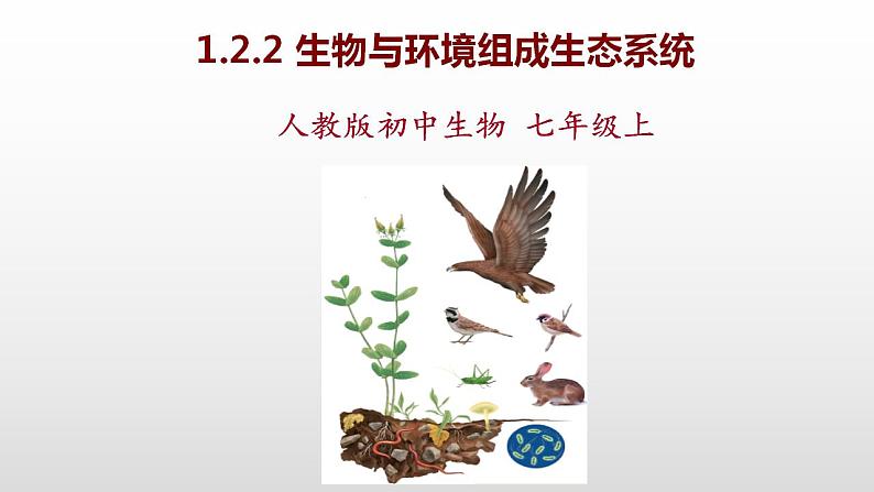 1.2.2生物与环境组成生态系统+课件-2021-2022学年人教版七年级生物上册01