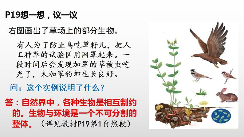 1.2.2生物与环境组成生态系统+课件-2021-2022学年人教版七年级生物上册03