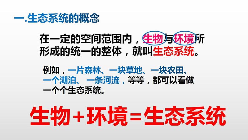 1.2.2生物与环境组成生态系统+课件-2021-2022学年人教版七年级生物上册04