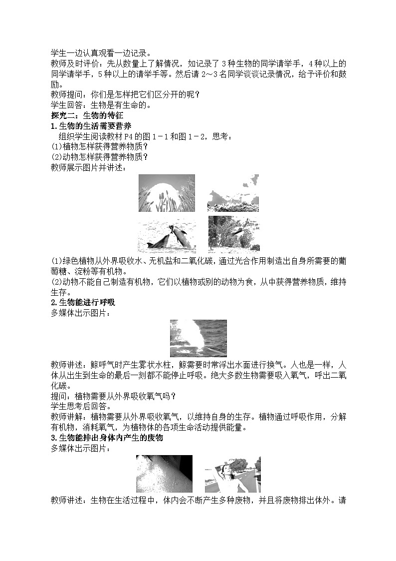 1.1.1  生物的特征  课件  人教版生物七年级上册02