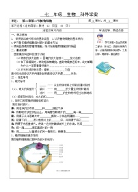 七年级上册第二节 植物细胞学案设计