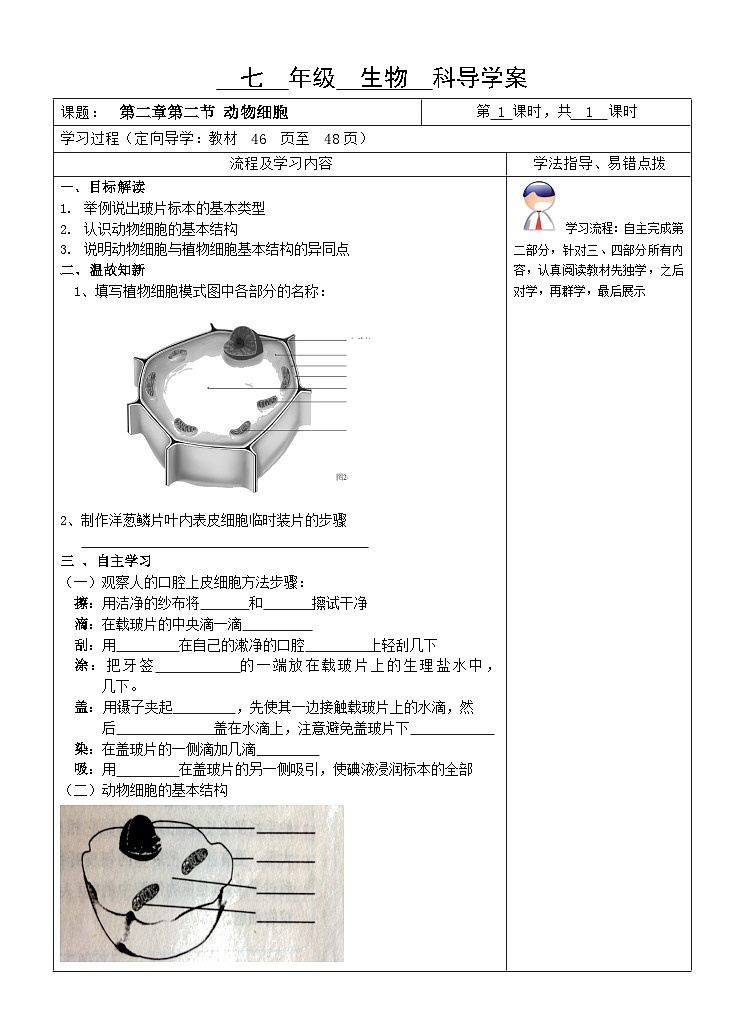 2.1.3动物细胞导学案 人教版生物七年级上册第1页