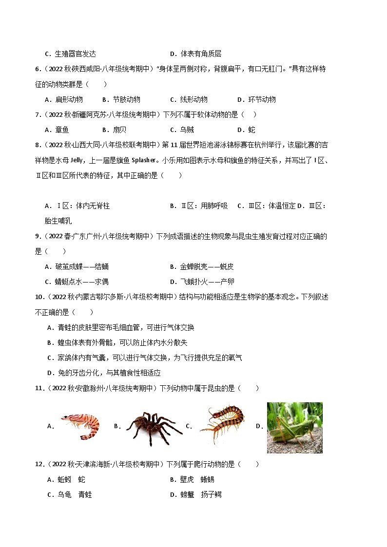 【期中真题】（人教版）2023-2024学年八年级生物上学期期中真题分类专题汇编 专题01 动物的主要类群-试卷.zip02