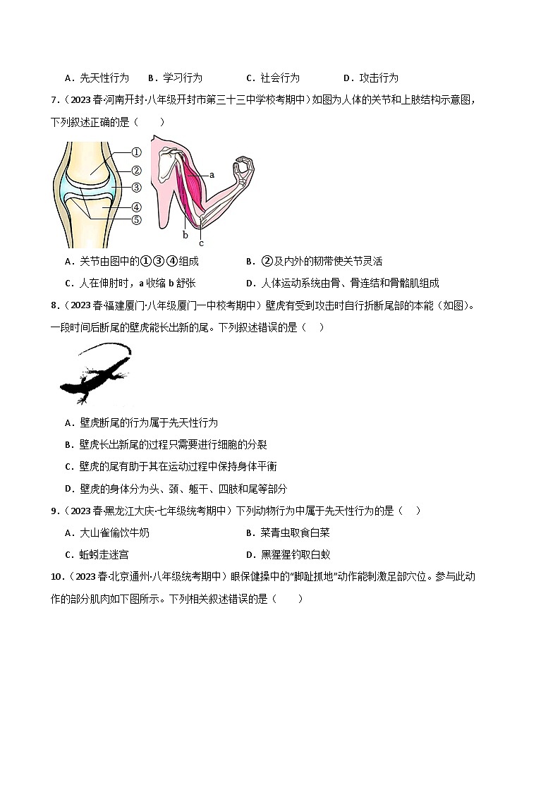 【期中真题】（人教版）2023-2024学年八年级生物上学期期中真题分类专题汇编 专题02 动物的运动和行为-试卷.zip02