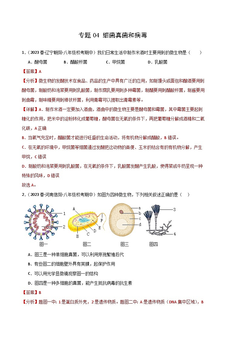 【期中真题】（人教版）2023-2024学年八年级生物上学期期中真题分类专题汇编 专题04 细菌、真菌和病毒-试卷.zip01