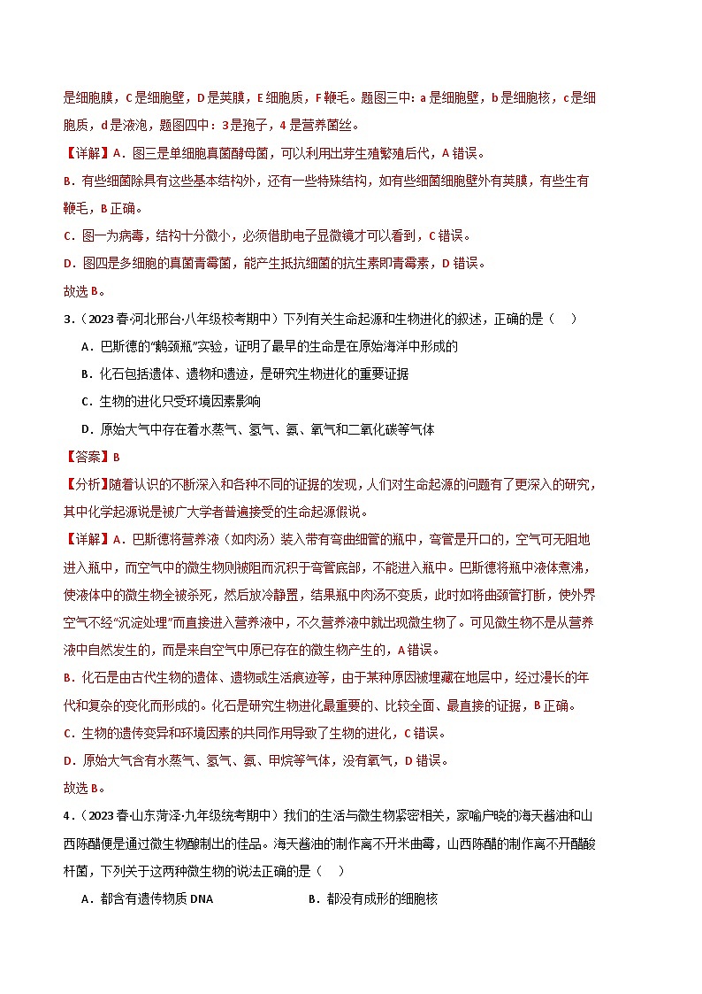 【期中真题】（人教版）2023-2024学年八年级生物上学期期中真题分类专题汇编 专题04 细菌、真菌和病毒-试卷.zip02