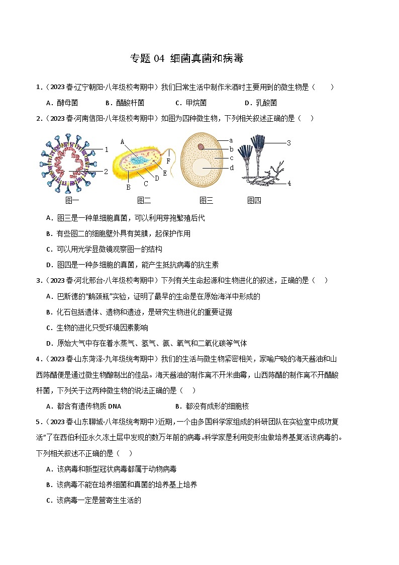 【期中真题】（人教版）2023-2024学年八年级生物上学期期中真题分类专题汇编 专题04 细菌、真菌和病毒-试卷.zip01