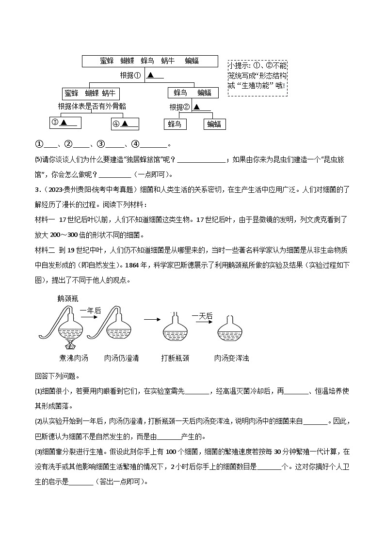 【期中真题】（人教版）2023-2024学年八年级生物上学期期中真题分类专题汇编-高频非选择题 （原卷版）03