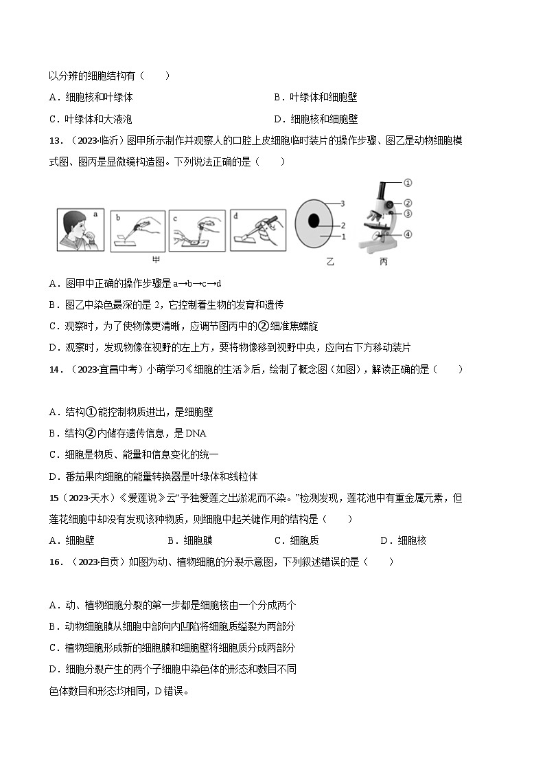 【期中模拟】（人教版）2023-2024学年七年级生物上册 期中冲刺卷（三）.zip03