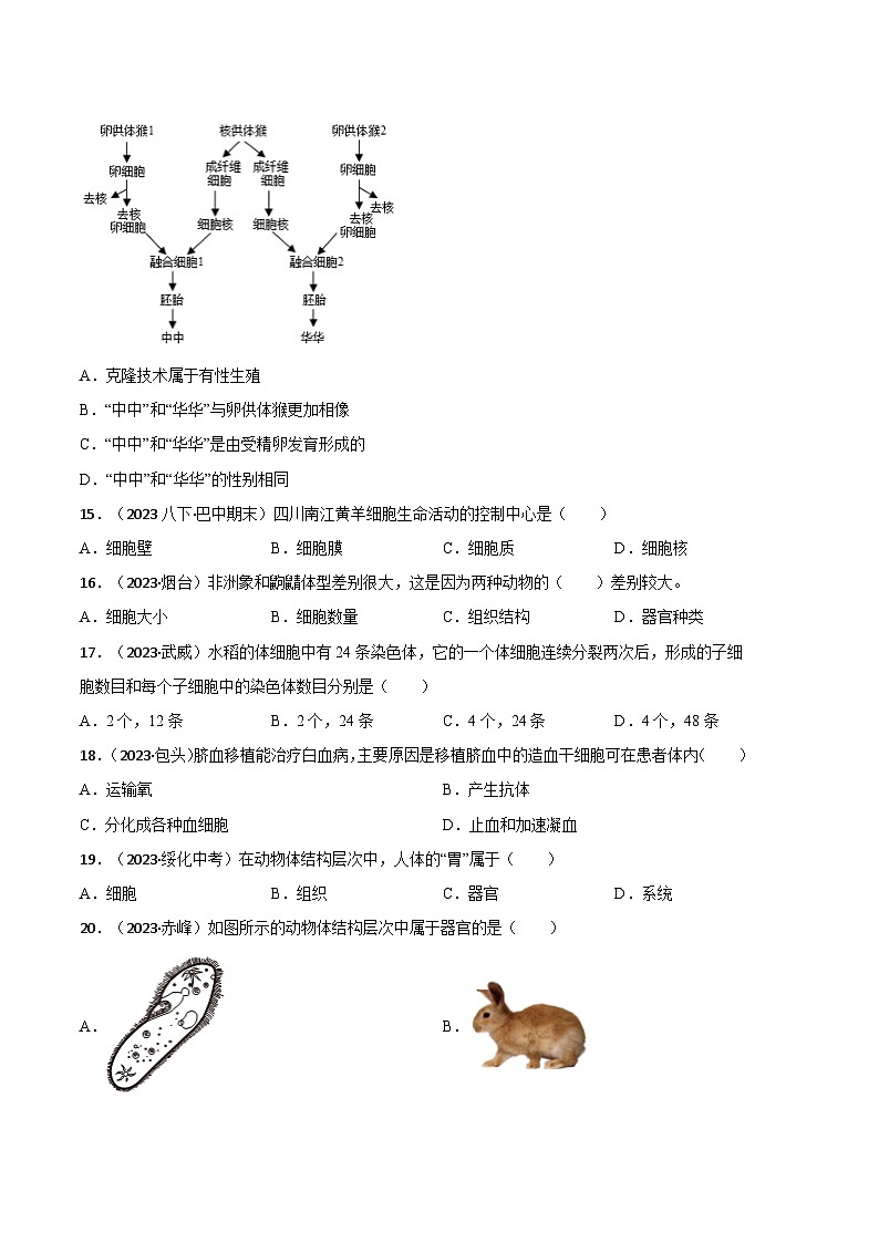 【期中模拟】（人教版）2023-2024学年七年级生物上册 期中冲刺卷（二）.zip03
